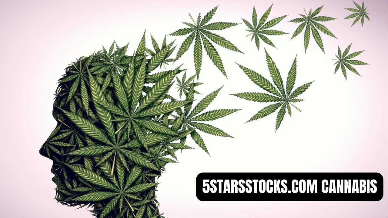 5starsstocks.com cannabis