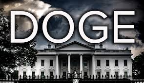 doge opm data access injunction